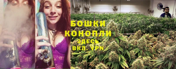дурь Кулебаки