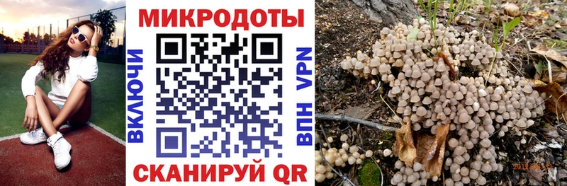 Псилоцибиновые грибы мицелий  Купить  Миллерово 